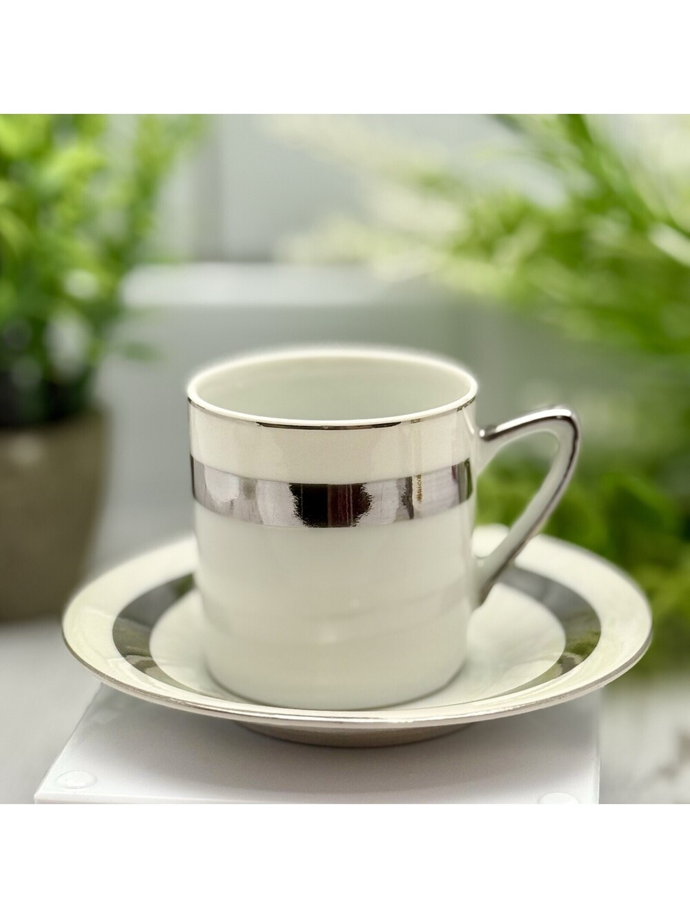 Vintage Royal Crown Contemporary Platinum 3988 Cup & Saucer Silver White China